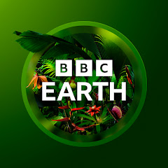 BBC Earth channel avatar