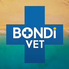 Bondi Vet channel avatar