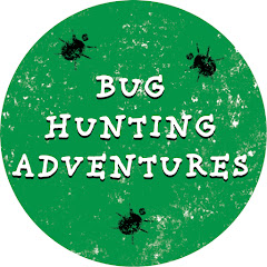 Bug Hunting Adventures channel avatar