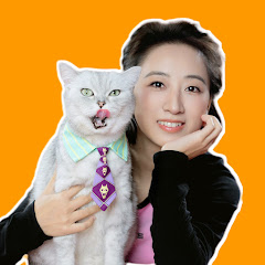 Chef Cat ChangAn  channel avatar