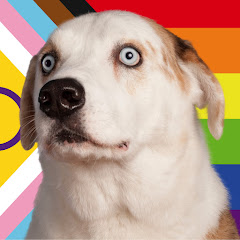 WeRateDogs channel avatar