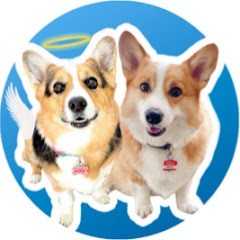 Hammy and Olivia channel avatar