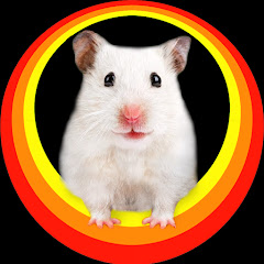 Hamster Life channel avatar