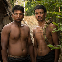 Jungle Survival channel avatar