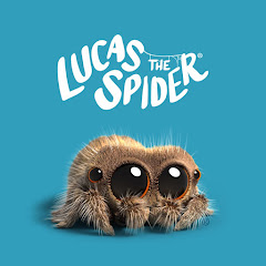 Lucas the Spider channel avatar
