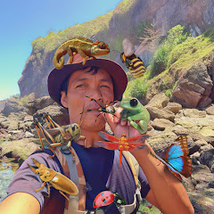 mister insect channel avatar