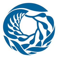 Monterey Bay Aquarium channel avatar