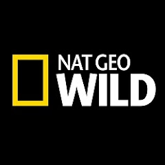 Nat Geo Wild National Geographic channel avatar