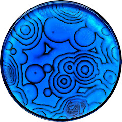 NileBlue channel avatar