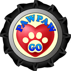 PawPawGo channel avatar