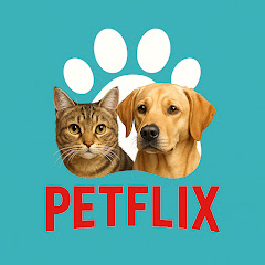 PetFlix channel avatar