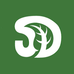 SerpaDesign channel avatar