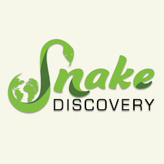 Snake Discovery channel avatar