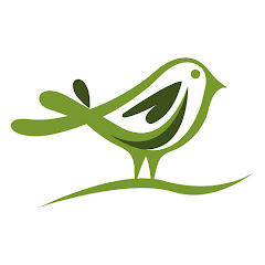 Soothing Relaxation channel avatar