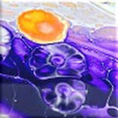 Tiktus color Art channel avatar