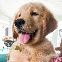 Tucker Budzyn channel avatar
